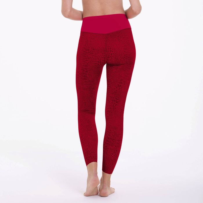 SPORT TIGHTS   MASSAGE - Legging de sport-1676